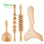 Facial Massager Manufacturer - Colombiana Wood Therapy with Infrared Physiotherapy