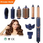 Hair Dryer Manufacturer - 6-in-1 Salon Ionic 1400W Gold Brushless DC Motor