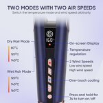 Hair Straightener Manufacturer - Portable 2025 Latest Models 2-in-1 Dryer and Straightener