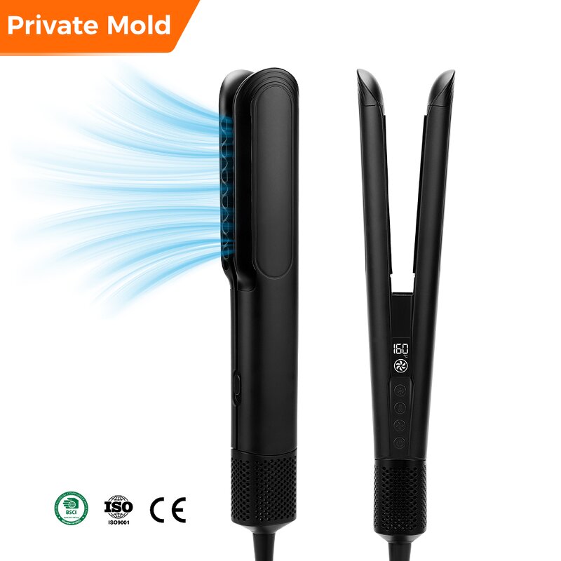 Hair Dryer Manufacturer - 2-in-1 High Speed Air Styler BLDC Motor Wet to Dry
