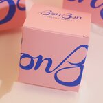 Hair Dryer Set Manufacturer - Salon Ionic 1400W Brushless DC Motor Multi-Stylers