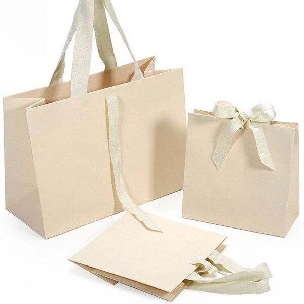Luxury Die Cutting Matt Varnish Gift Cardboard Shopping Bag with Ribbon Handle Good Price for Multi-Size for Clothing and Fur
