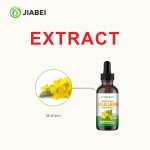 毛蕊花滴剂生产商-可定制呼吸健康草本滴剂