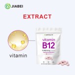 Vitamin B12 Tablet Manufacturer - ODM Vegan Digestion Supplement