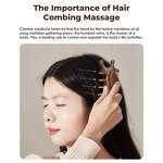 Sandalwood Hair Comb Manufacturer - Wholesale Portable Multifunction Home Salon Travel Scalp Massage Tool