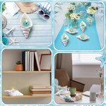 Conch Aromatherapy Candle Set Manufacturer - Atmosphere Creative Jelly Wax Shell Starfish Handmade Gift Tool