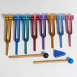 Aluminum Tuning Fork Manufacturer - Hot Sale Sound Healing Sensory ENT Surgical Instruments Tool