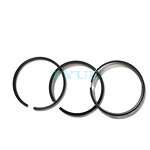 Piston Ring Manufacturer - FL912D Diesel Engine Part 0223-3074