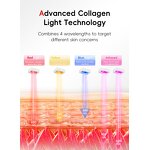 LED Face Mask Manufacturer - Full Face Anti Aging Hard Case Red Light Therapy