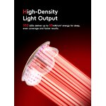 LED Face Mask Manufacturer - Full Face Anti Aging Hard Case Red Light Therapy