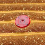 Jade Massage Mattress - OEM Ultra Long Wave 45*45cm Photon Negative Ion Ball