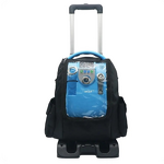 Portable Oxygen Concentrator - Car Outdoor Electric Mini Battery Poc Device