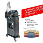 Ems Muscle Stimulator - Training Body Slimming Fat Burning Emszero Sculpting Tool