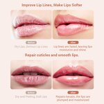 Lip Mask Manufacturer - LANBENA Oil Moisturizer Nourishing for Dry Lips