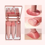 Makeup Brushes Set Manufacturer - 5Pcs Powder Eye Shadow Foundation Blush Blending