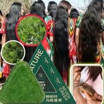 Shampoo Bar Manufacturer - Usman Grass & Platycladus for Hair Growth Natural Herbal