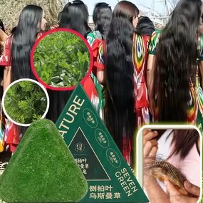 Shampoo Bar Manufacturer - Usman Grass & Platycladus for Hair Growth Natural Herbal