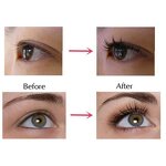 Eyebrows Enhancer Manufacturer - FEG Growth Serum Eyelash Growth Liquid