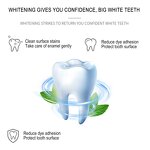 Toothpaste Manufacturer - 105g Bamboo Charcoal Black Deep Clean Mint Flavor