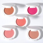 Blush Manufacturer - 12 Colors High Pigment Private Label Single Palette Fine Powder