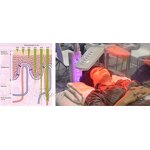 7 Color PDT Led Machine - Professional Spa Photon Red Light Therapy Facial Device