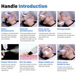 14 in 1 Hydra Facial Machine - Newest Portable H2O2 Bubble Blackhead Removal