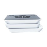 LED Light Therapy Instrument Manufacturer - AU-2D Nano Spray with 6-Color for Acne