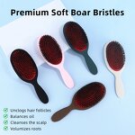 Boar Bristle Comb - Hot Sell Custom Logo Air Cushion Detangling Head Massager