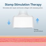 Derma Stamp Kit Manufacturer - Wholesale Custom Logo Adjustable Needle Size 140A