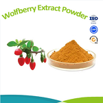 Green Tea Extract Powder - Organic Green Tea Polyphenols Food Supplement