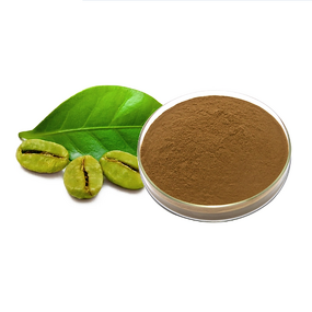 Sophora Japonica Extract - 98% Genistein Powder Natural Plant Extract