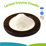 Papain Enzyme Powder - Food Additive Papaya Extract CAS 9001-73-4 Factory Price