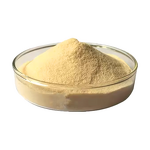 Calcium Hydrogen Phosphate - Factory Price Mineral Nutrition CAS 7757-93-9 Powder