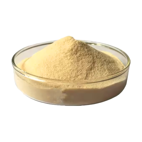 Calcium Hydrogen Phosphate - Factory Price Mineral Nutrition CAS 7757-93-9 Powder