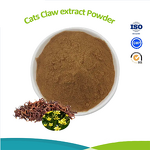 Angelica Sinensis Extract - Food Supplement Angelica Root Extract Powder