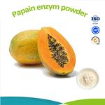 Lactase Enzyme Powder - 9000/10000U/G Food Supplement CAS 9031-11-2