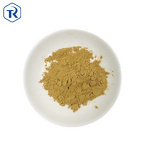 Marigold Flower Extract - Food Supplement Tagetes Erecta Lutein Powder