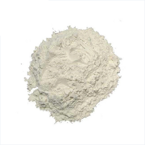 Talc Powder - Food Grade CAS 14807-96-6 Magnesium Silicate Factory Supplier