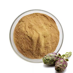 Green Coffee Bean Extract - Natural 10% Chlorogenic Acid Powder Supplement
