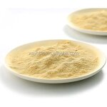 Selenium Enriched Yeast - High Quality Nutritional Yeast 2000ppm Powder