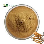 Cordyceps Sinensis Extract - Factory Supply 10%-50% Polysaccharide Powder Kosher