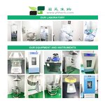 Cordyceps Sinensis Extract - Factory Supply 10%-50% Polysaccharide Powder Kosher