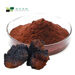 Ganoderma Lucidum Extract - ISO Kosher 10%-50% Polysaccharides Chaga Mushroom