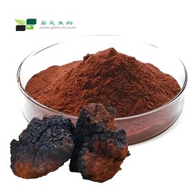 Ganoderma Lucidum Extract - ISO Kosher 10%-50% Polysaccharides Chaga Mushroom