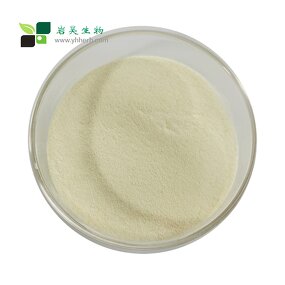 Orange Powder - High Quality Food Grade Freeze Dried Juice Extract No Additives