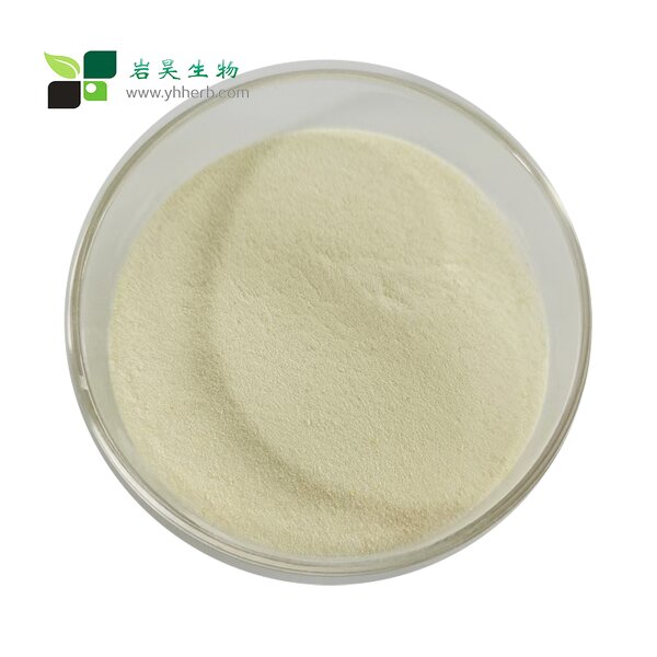 Orange Powder - High Quality Food Grade Freeze Dried Juice Extract No Additives