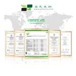 Cordyceps Sinensis Extract - Factory Supply 10%-50% Polysaccharide Powder Kosher