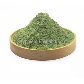 Celery Powder - Pure Natural Organic Celery Juice Extract Powder