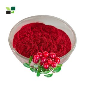 Cranberry Extract Powder - Food Grade Organic 25% Anthocyanin Fruit Powder