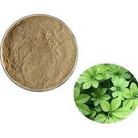 Jiaogulan Extract - Free Sample 20:1 Gynostemma Pentaphyllum 98% Powder